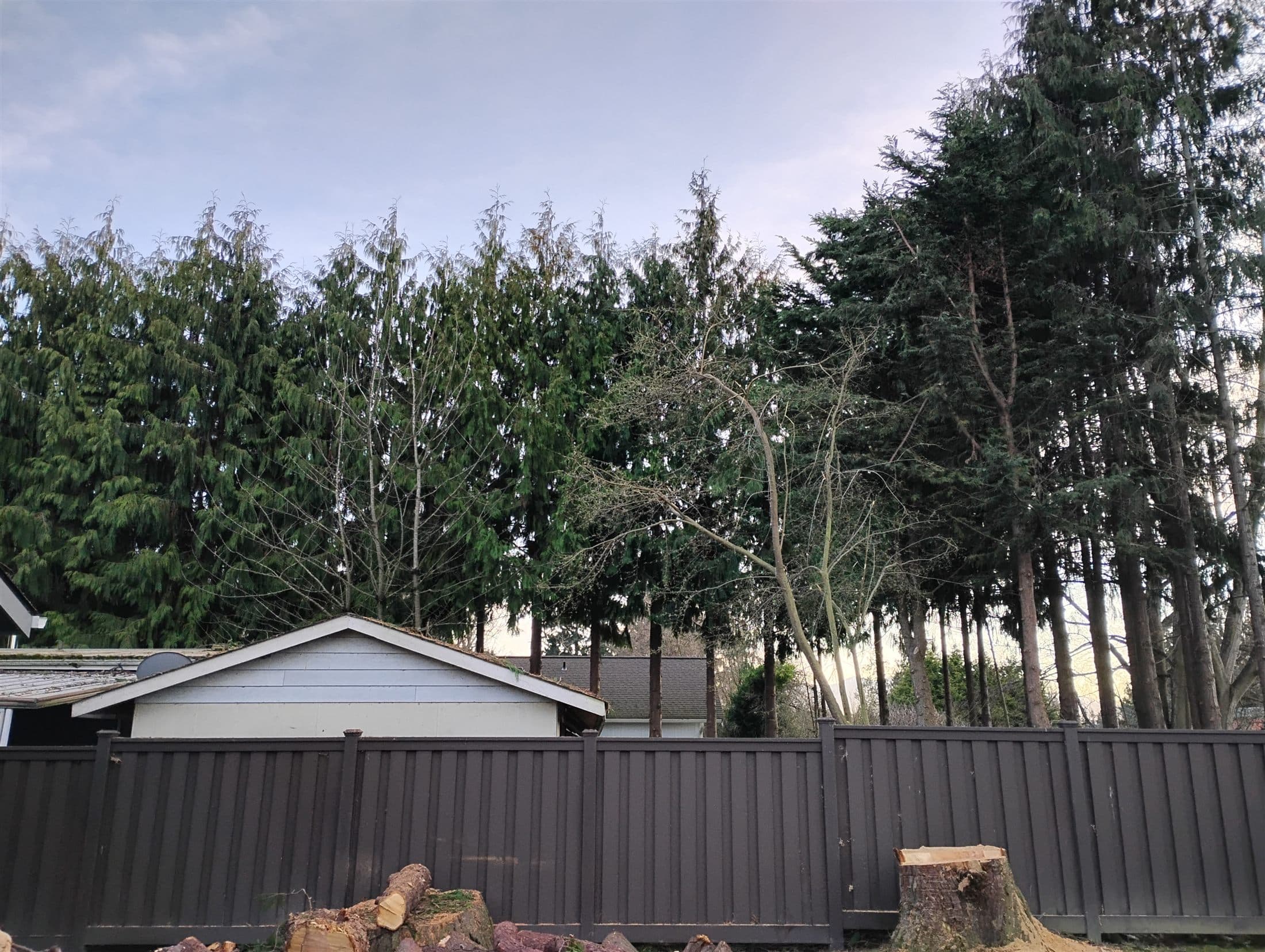 Reclaimed fence line after twin cedars came out, rounds stacked and the yard opened up