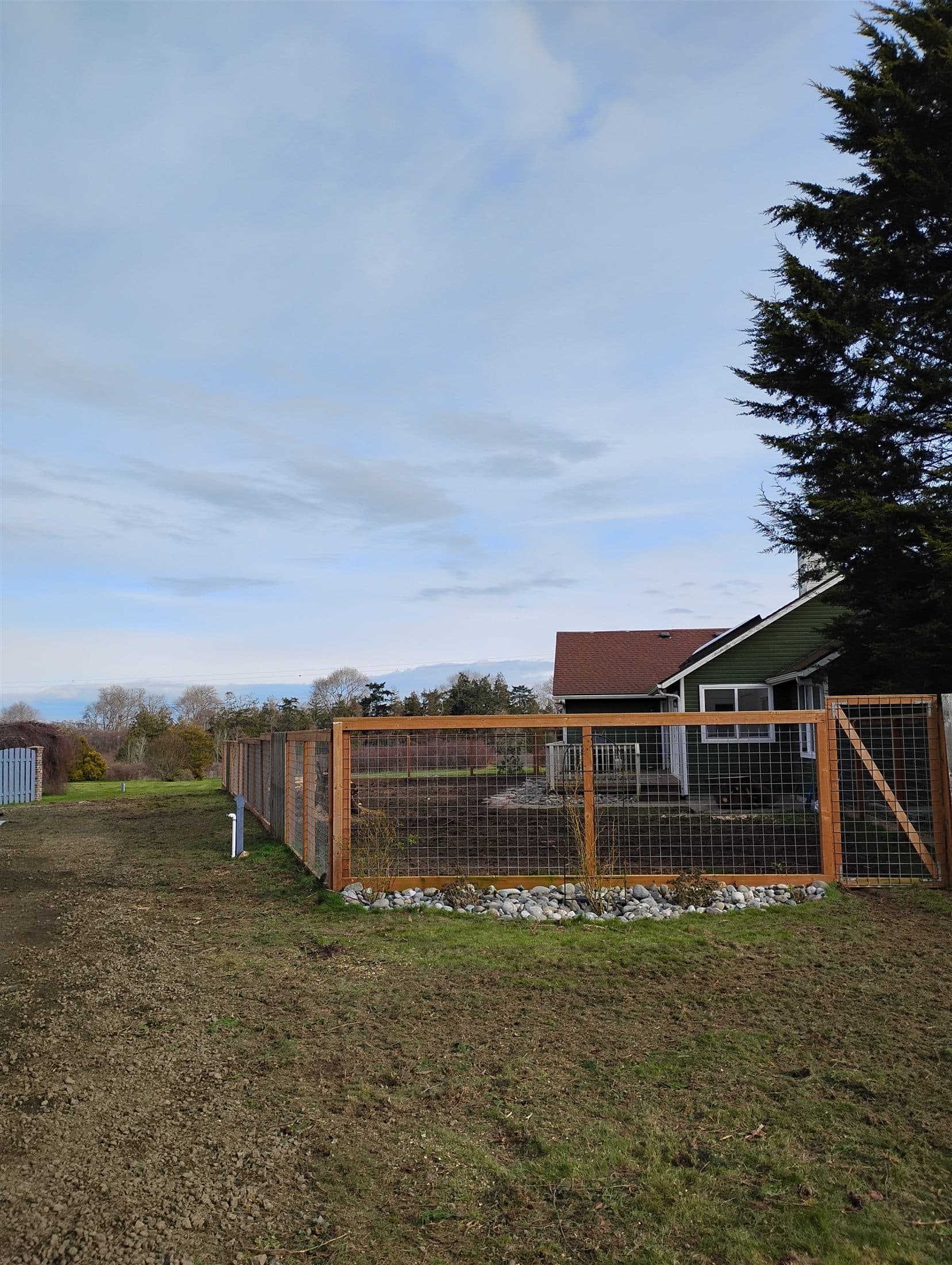 The same chicken run with the cypress gone and open sky above the garden enclosure