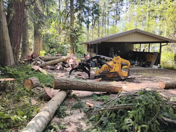 Mini loader with grapple staging logs and rounds beside a carport