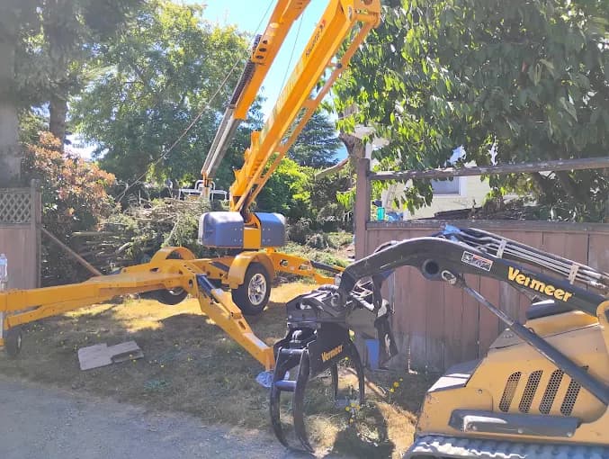 Boom lift and mini loader with grapple staged along a backyard fence