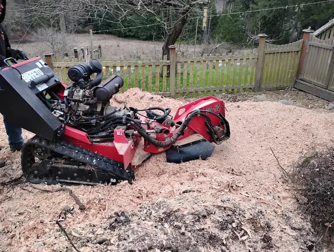 Tracked stump grinder buried to the wheel in fresh chips beside a wooden fence