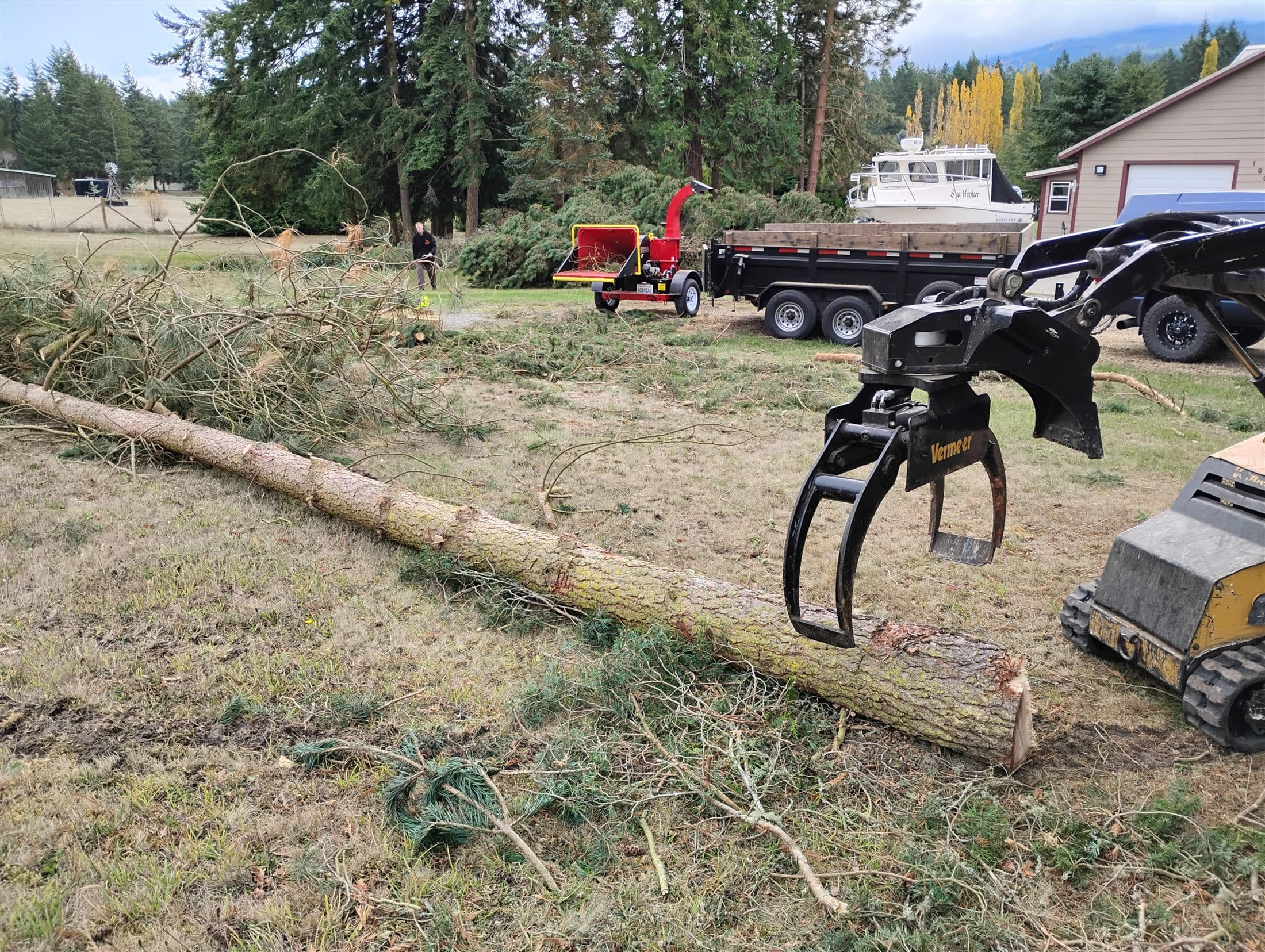 Grapple loader, chipper, and dump trailer working a felled pine on a residential lawn