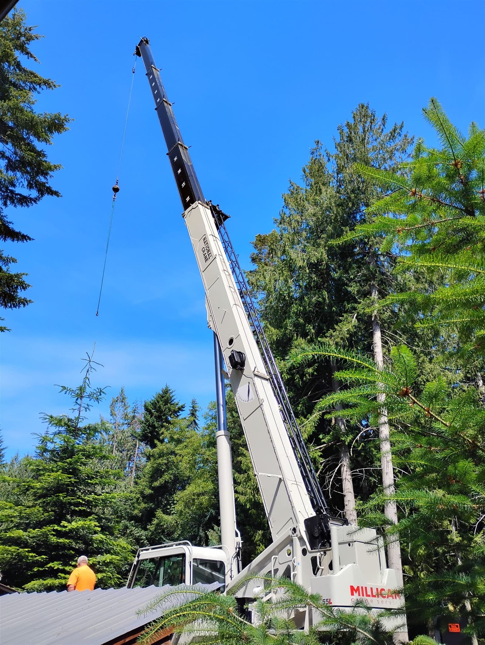 Crane boom extended above tall firs for a crane-assisted removal