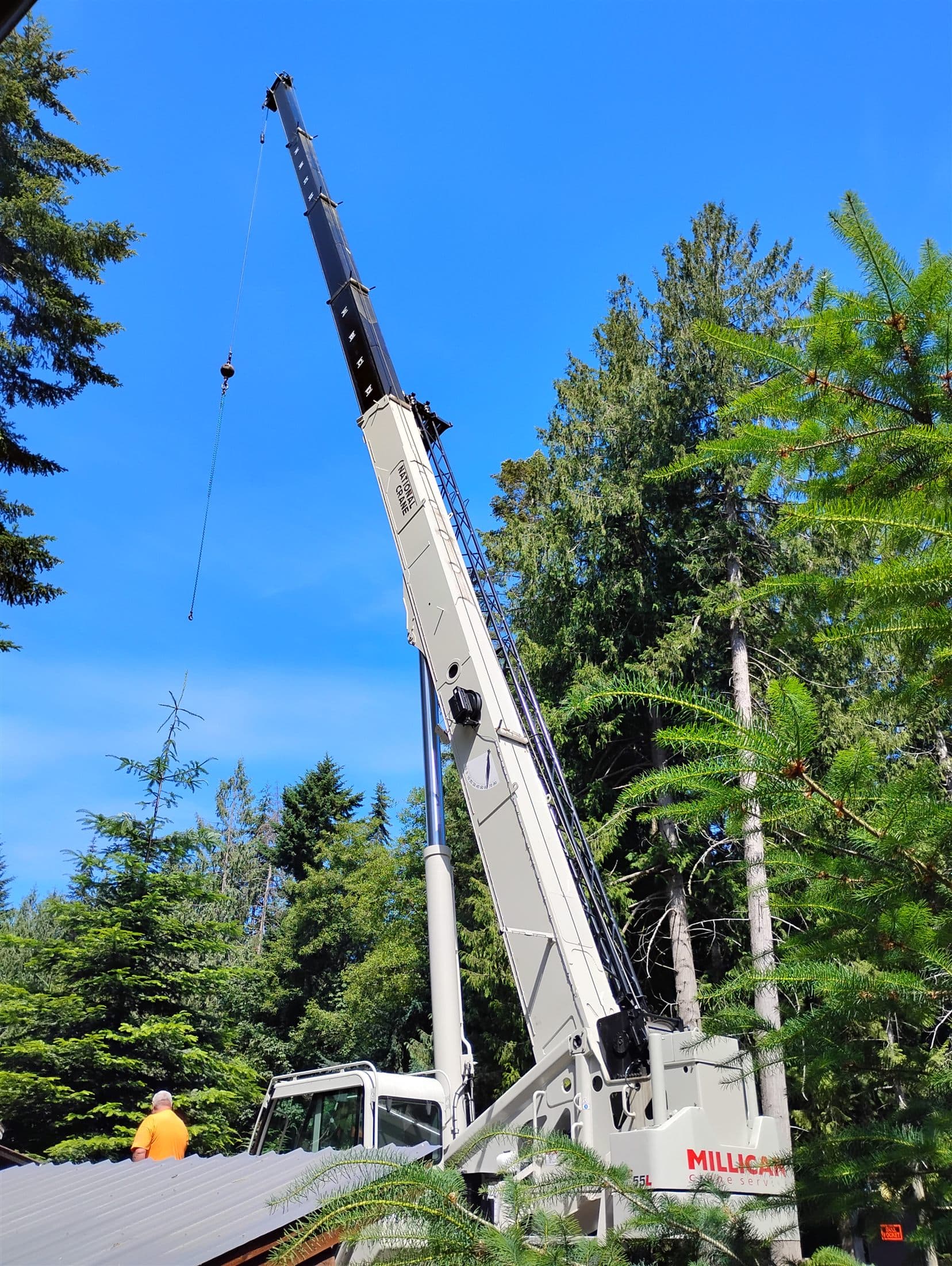 Crane boom extended above tall firs for a crane-assisted removal