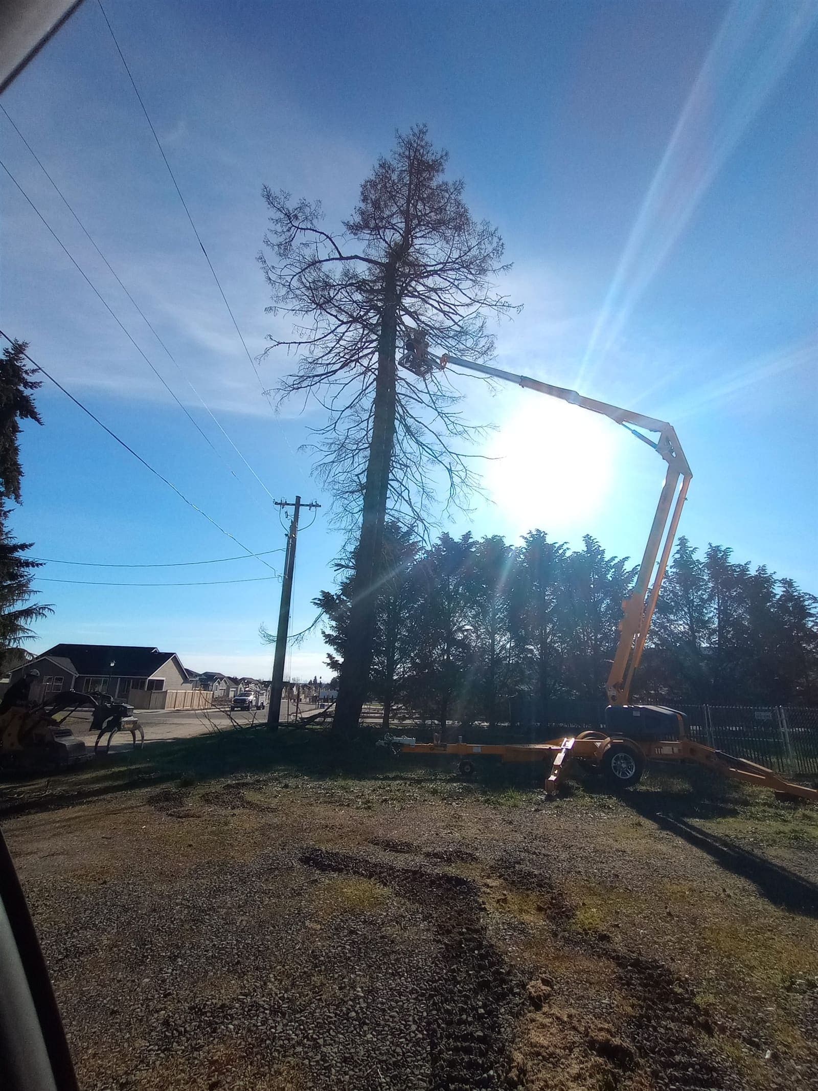 Towable boom lift reaching into the bare crown of a roadside tree near power lines