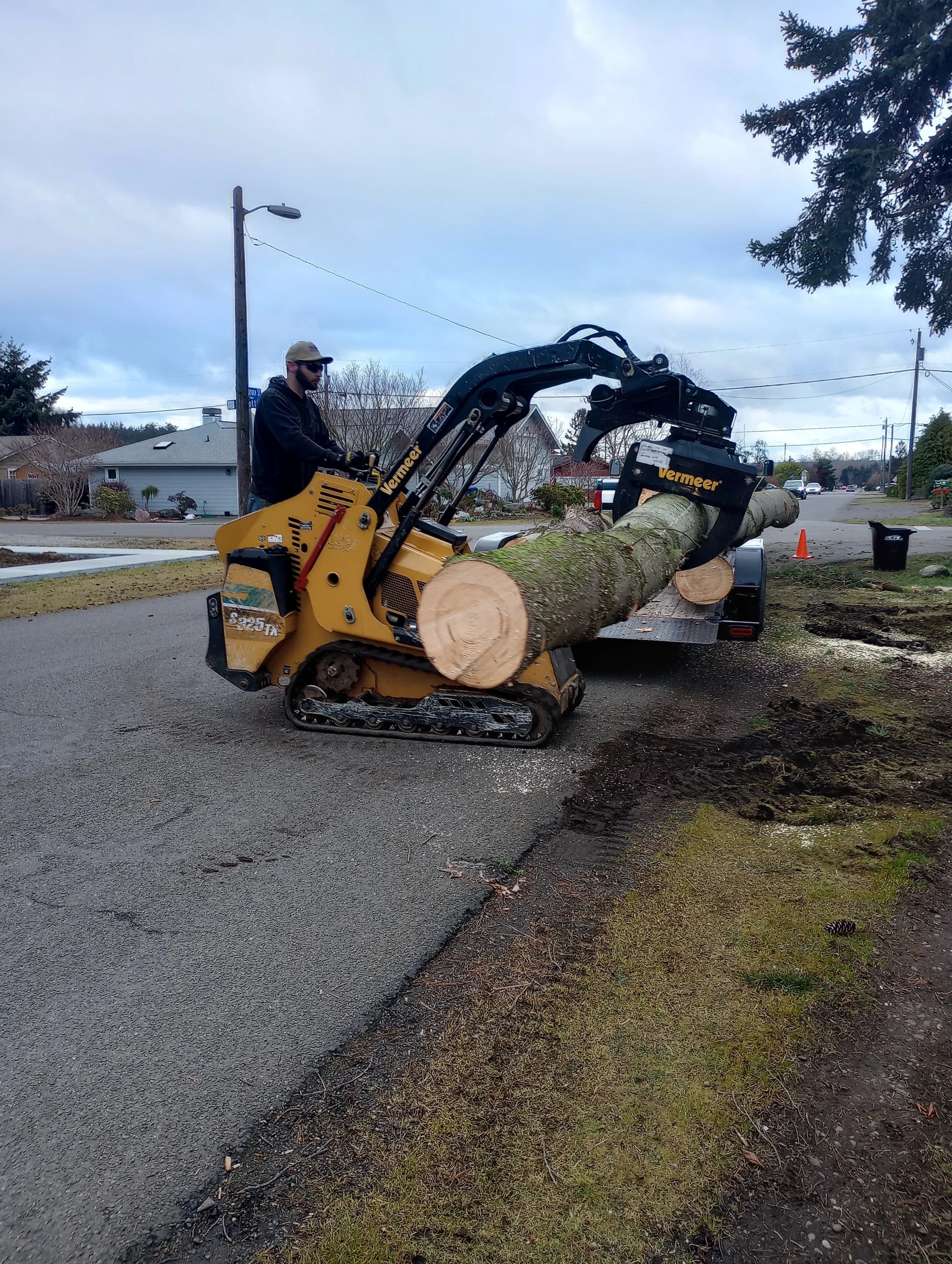 Operator loading a large fir log onto a trailer with a tracked mini loader on a residential street